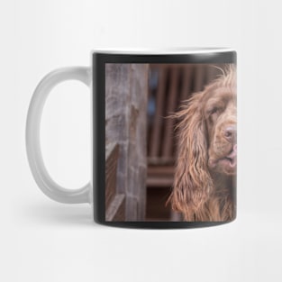 Sussex Spaniel with Tongue Out Mug